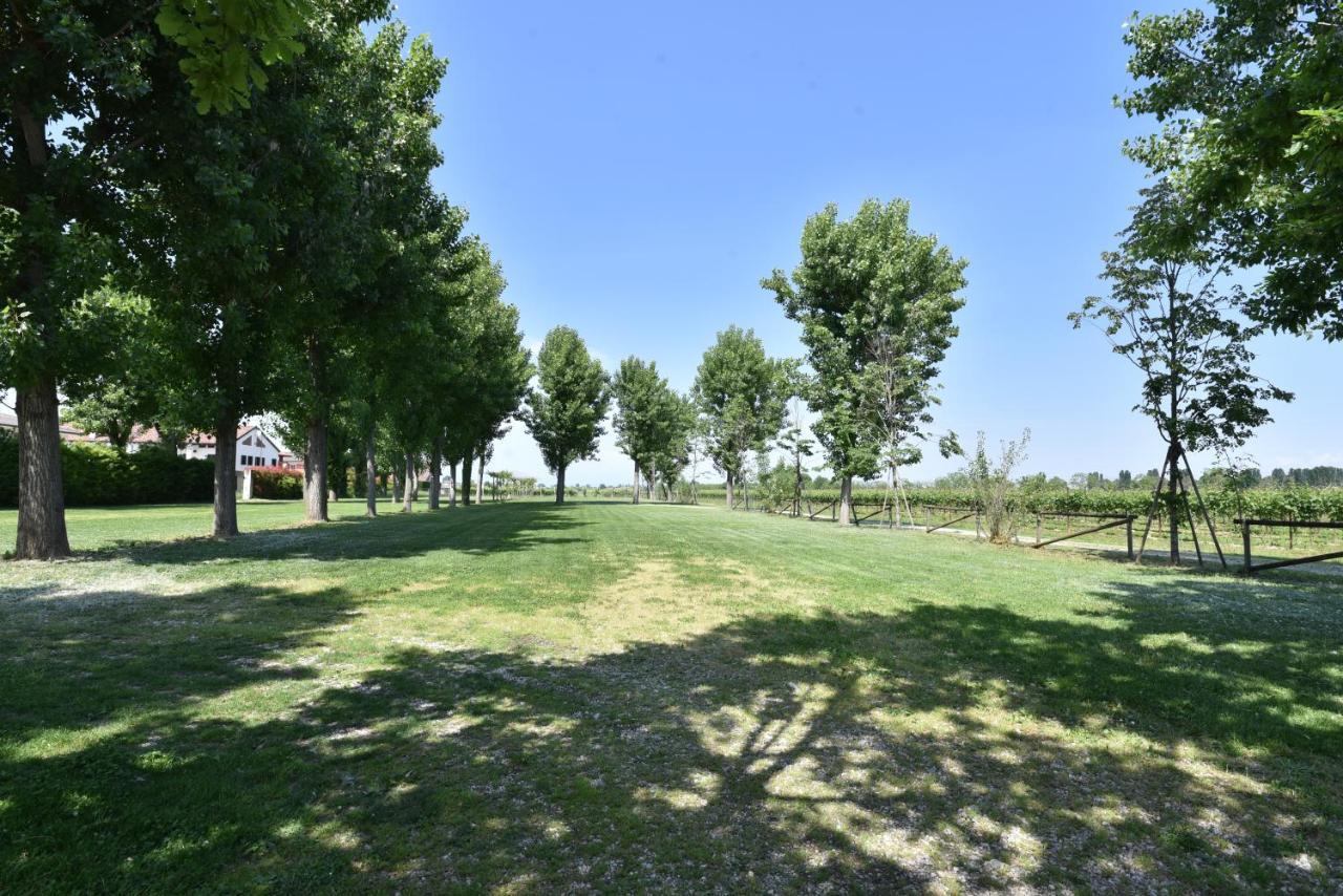 Tenuta Le Risare Bed & Breakfast Campo San Martino Exterior photo